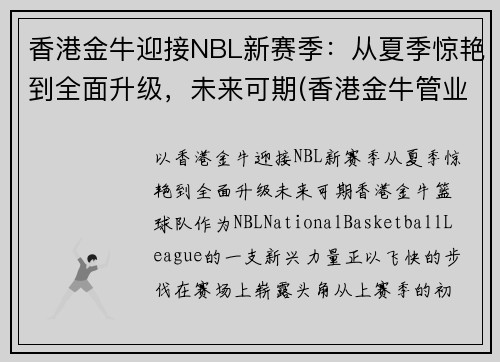 香港金牛迎接NBL新赛季：从夏季惊艳到全面升级，未来可期(香港金牛管业)